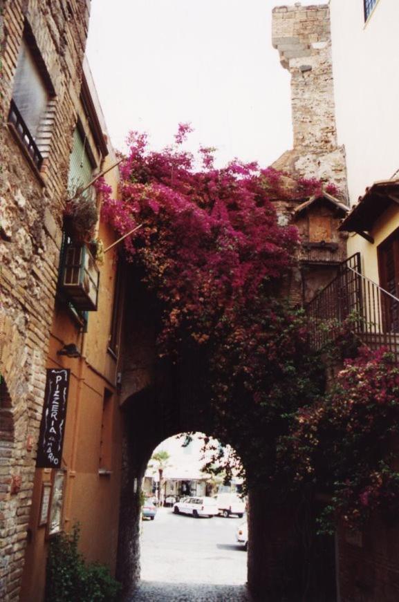 Hotel La Casa Degli Artisti 1 Nettuno Exterior foto